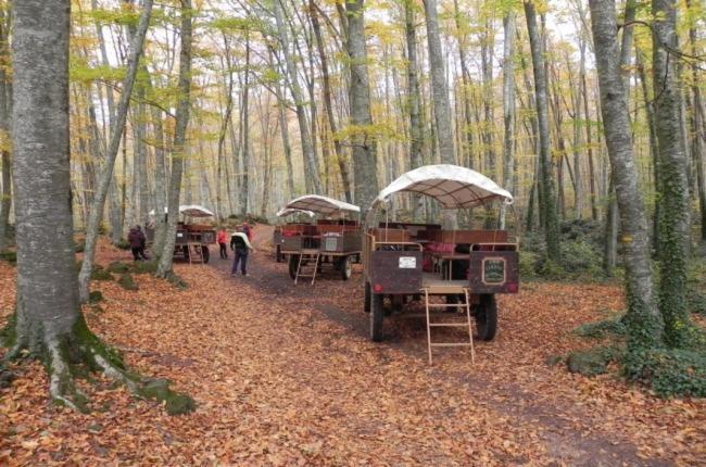 Apto. Grande, Luminoso Y Centrico Διαμέρισμα Olot Εξωτερικό φωτογραφία